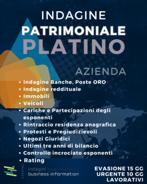 indagine patrimoniale platino azienda