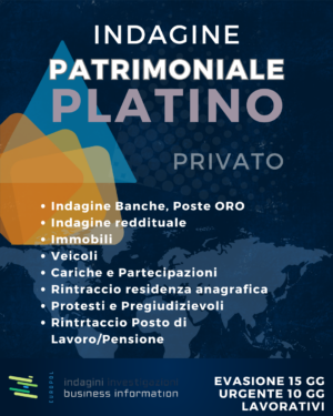 indagine patrimoniale platino su privato